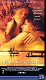 Herr der Gezeiten - Nick Nolte