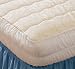 Bedsack Fitted Plus&amp;#8482; Damask Pillow-Topper Mattress Pads
