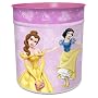 Disney Princess H&C Bin