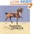 Carousel Animals: Artistry in Motion