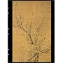Handstitched Tao Blossom Lined