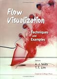 Flow Visualization: Techniques and Examples