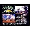 Succulent and Xerophytic Plants of Madagascar, Vol. 2