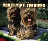 For the Love of Yorkshire Terriers Deluxe 2005 Calendar image