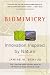 Biomimicry: Innovation Inspired by Nature
