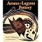 Native American Art Books