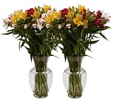Farm Fresh Flowers