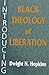 Introducing Black Theology of Liberation