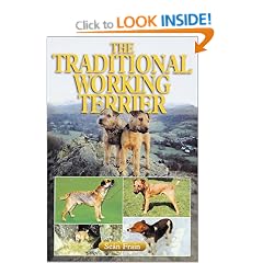 The Traditional Working Terrier