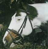 Wintec English Bridle w/Flash 