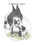 Boston Terrier - Trio Image by Cindy Farmer