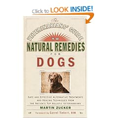 Veterinarians' Guide to Natural Remedies for Dogs