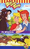 Bibi und Tina 3 - Die Wildpferde