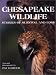 Books : Chesapeake Wildlife: Stories of Survival and Loss
