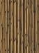 Bamboo Sticks Light Wallpaper in National Geographic Kids