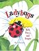 Ladybugs: Red, Fiery, and Bright