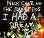 I Had a Dream Joe