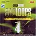 Bally sagoo sagloops vol-4