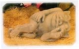 Cast Stone 13 RECLINING GARDEN GARGOYLE Gothic SCULPTURE Funny Statue
