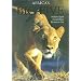 Africa's Big Five