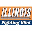 BSI Illinois Fightin Illini Car Flag Set