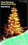 Their Christmas Dream Come True (Medical Romance)