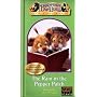 Between the Lions - Ram in the Pepper Patch [VHS]