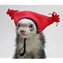 Marshall Ferret Tassle Hat, Red