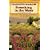 Something in the Water (Peter Shandy Mysteries)