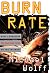 Burn Rate : How I Survived the Gold Rush Years on the Internet