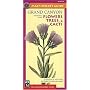 Mac's Pocket Guide: Grand Canyon National Park, Trees, Flowers, & Cacti (Mac's Pocket Guides)