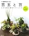 苔玉と苔~小さな緑の栽培テクニック (別冊NHK趣味の園芸)