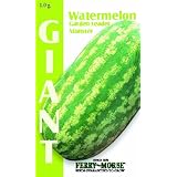 Ferry Morse 2142 Watermelon Seeds Garden Leader Monster  1 G