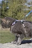 Cotton Candy - Lupine Adjustable H-Style Harness 1/2 in. x 12 in. x 20 in.
