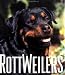 Rottweilers (Little Books)