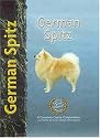 German Spitz