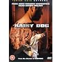 Rainy Dog [DVD] [1997]
