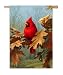 Regular Sized Flag Cardinal And Oak - Hi