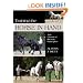 Training the Horse in Hand: The Classical Iberian Principles