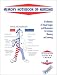 Memory Notebook of Nursing: A Collection of Visual Images and Mnemonics to Increase Memory and Learning (Memory Notebook of Nursing)