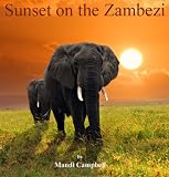 Sunset on the Zambezi