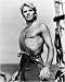 Burt Lancaster - Movie Poster / Print -- Custom Framing Available Image