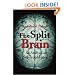 The Split Brain: An Analysis of Schizophrenia