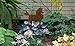 Poodle Rust Metal Garden Decor Yard Art Dog Stake Gift for Gardeners