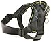 Dean and Tyler DT Dog Harness, Black With Yellow Trim, Large - Fits Girth Size: 32-Inch to 42-Inch