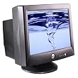 Dell 19 CRT Monitor