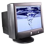 Dell 19 CRT Monitor