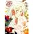 ���܂� ��6���q���ؔŁr [DVD]