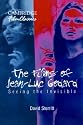 The Films of Jean-Luc Godard: Seeing the Invisible (Cambridge Film Classics)