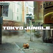 TOKYO JUNGLE (�ȡ����硼����󥰥�) (�������ʬ����������ŵ�֥ݥ��˥���2�����å�(�ۥ磻�ȡ��֥�å�)��Ʊ��) ��ŵ Amazon.co.jp���ꥸ�ʥ� ��Ķ�������Լ�"������������"�פ�����������ɤǤ���ץ������ȥ������դ�